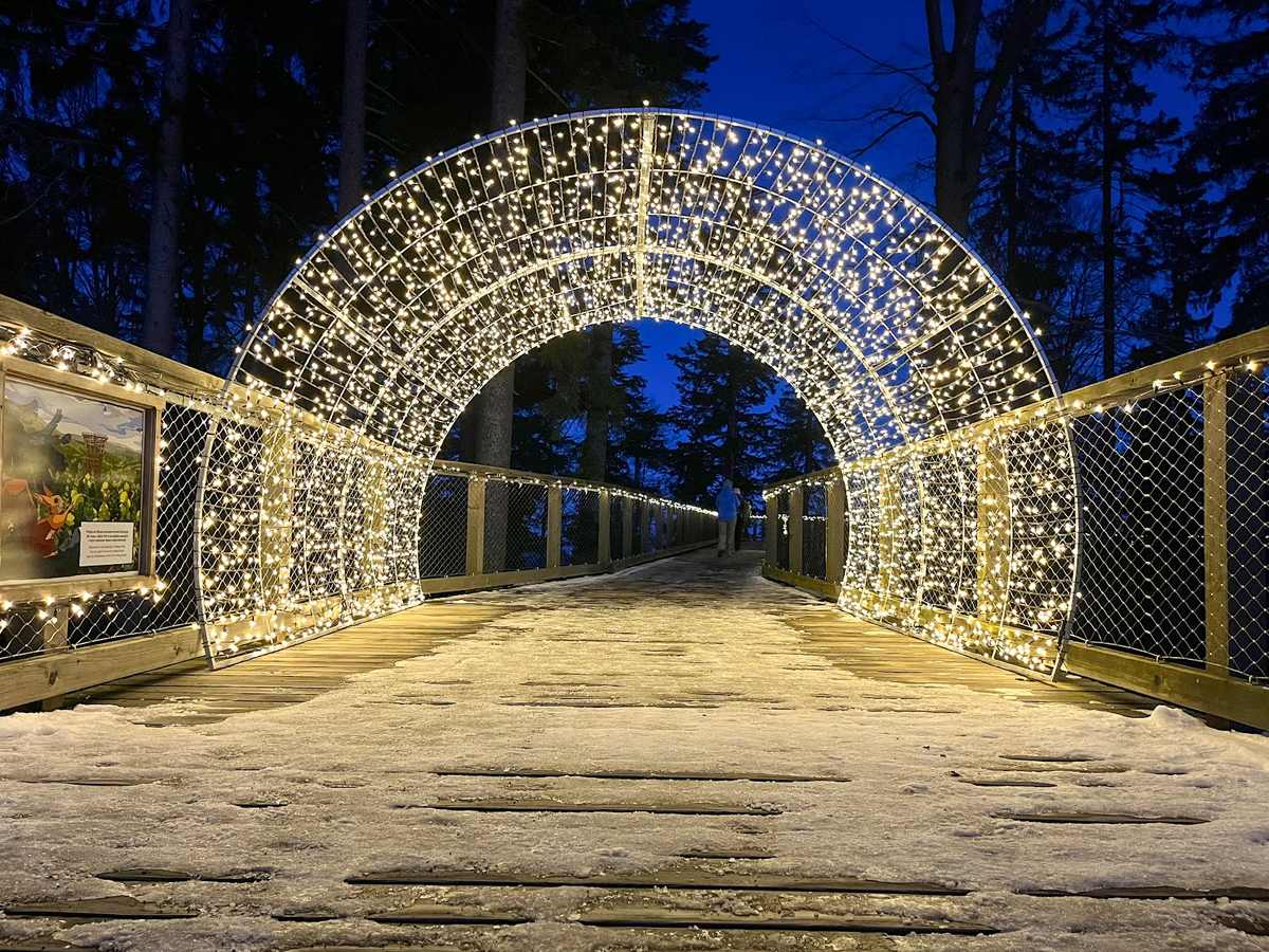 Leuchtender Lichttunnel auf einem Holzsteg im Wald
