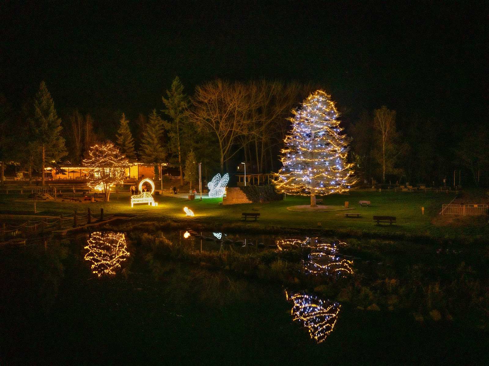 Beleuchteter Weihnachtsbaum, der sich im Wasser spiegelt
