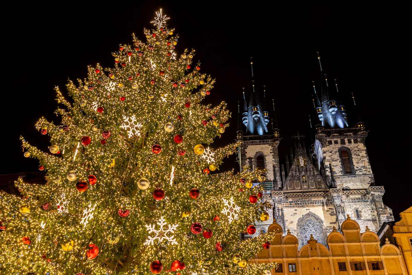 Beleuchteter Weihnachtsbaum vor einer historischen Kirche